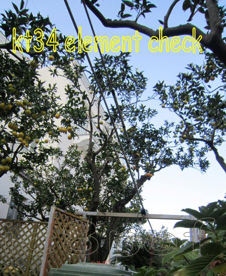 kt34 element checking